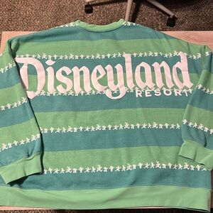 Disneyland Resort Spirit Sweatshirt - Adult XL